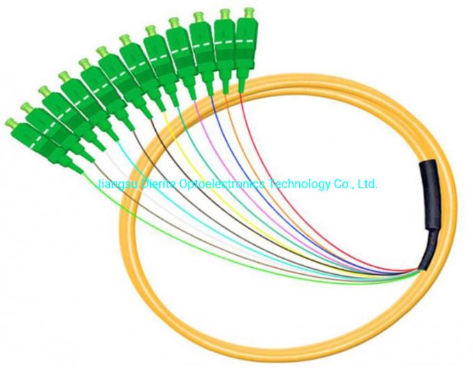 Sc APC Upc 12 Cord Fibers Multimode/Single Mode Optical Fiber Patch Cord Bunch Pigtail for Cable Television